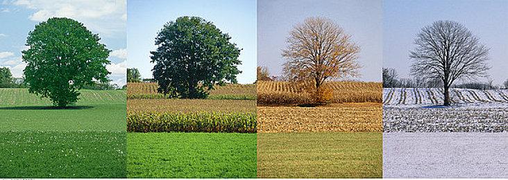 英伟达：不到十年 AI就能即时生成游戏的每个像素